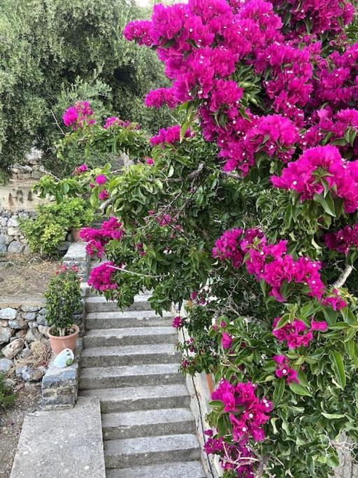 Villa Kamari- Stunning Views Kritsá المظهر الخارجي الصورة